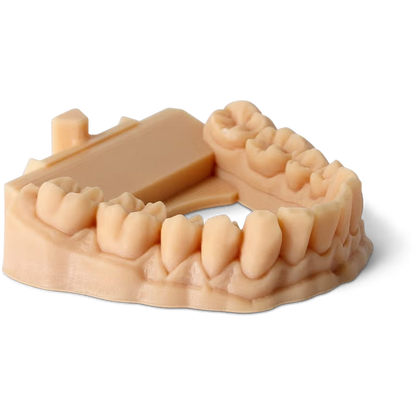 Phrozen Water-Washable Dental Model Resin 1 kg