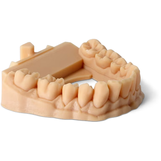 Phrozen Water-Washable Dental Model Resin 1 kg